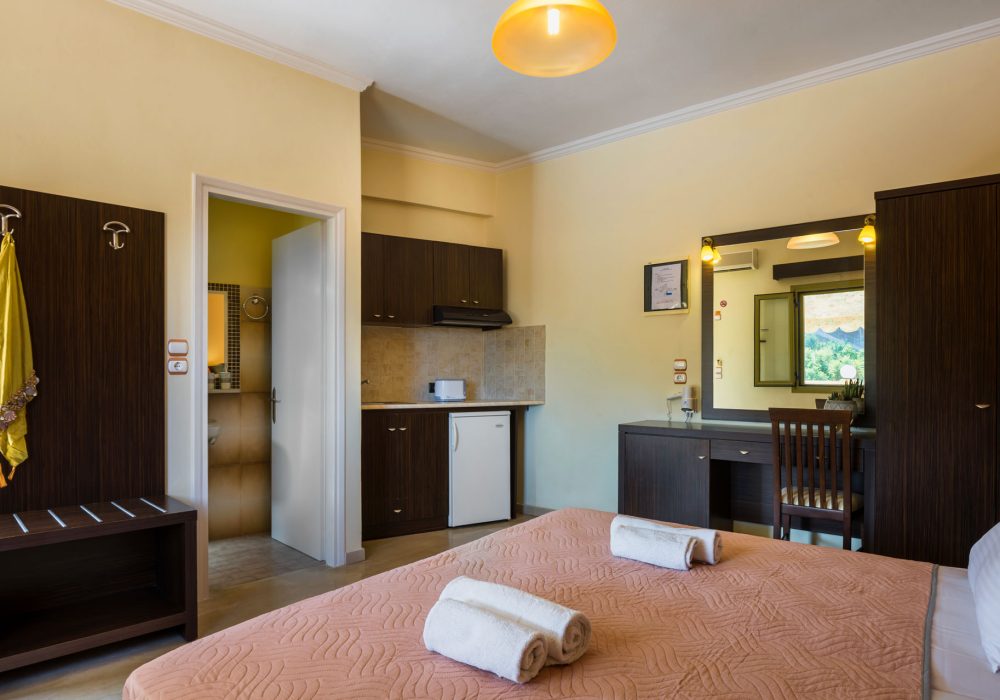 Twin / Double Room